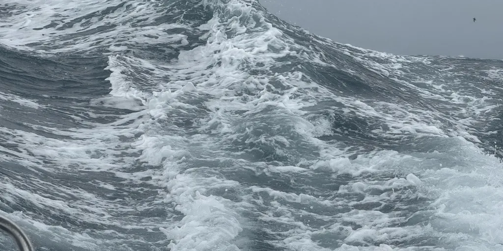 Vendee Globe: Here Be Monsters