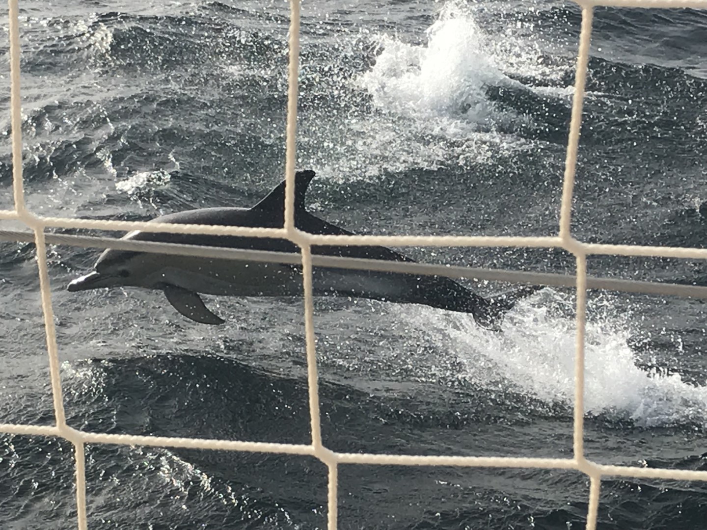 Clipper Race: Dell Latitude Ocean Sprint results