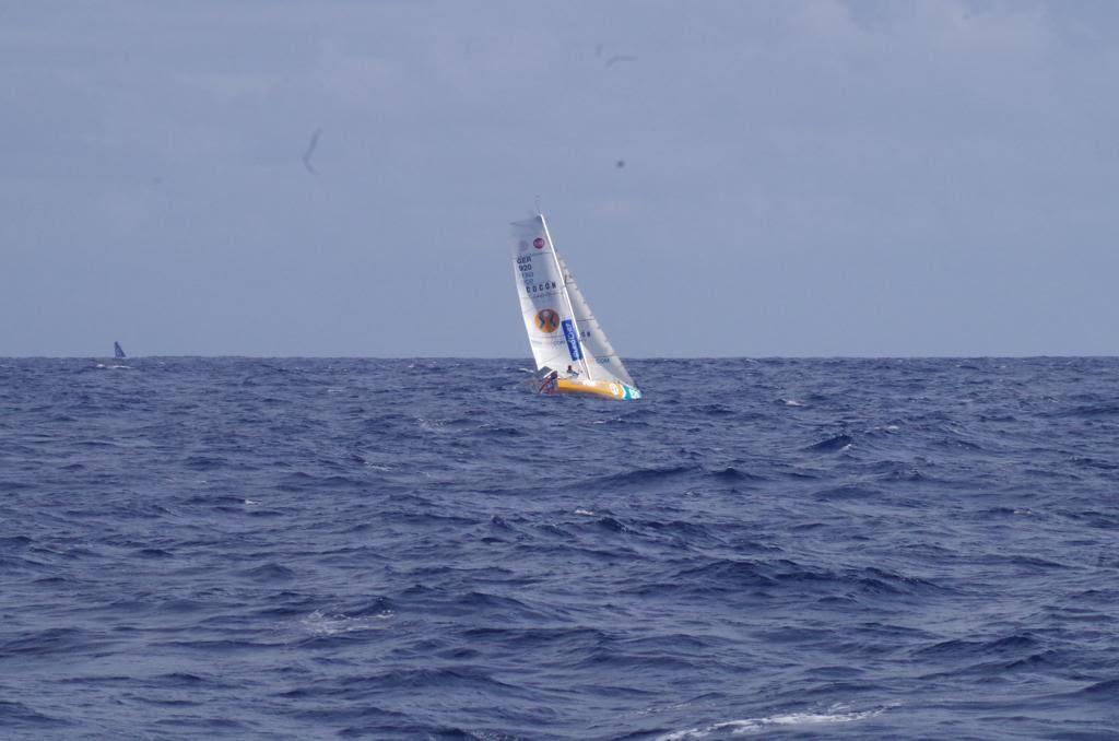 Mini Transat competitors back out on the water